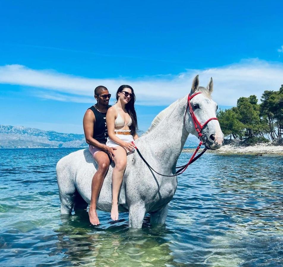 Apartments4You Supetar-The Best And Most Popular Apartments For Discovering The Island - Free Parking - 200 Meters From The Beach Екстериор снимка